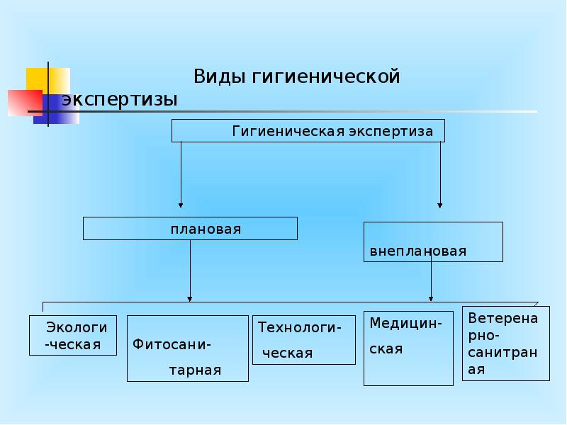 Виды санитарно. Виды санитарии. Типы организационной санитария. Санитария примеры. Виды санитарии гигиена.