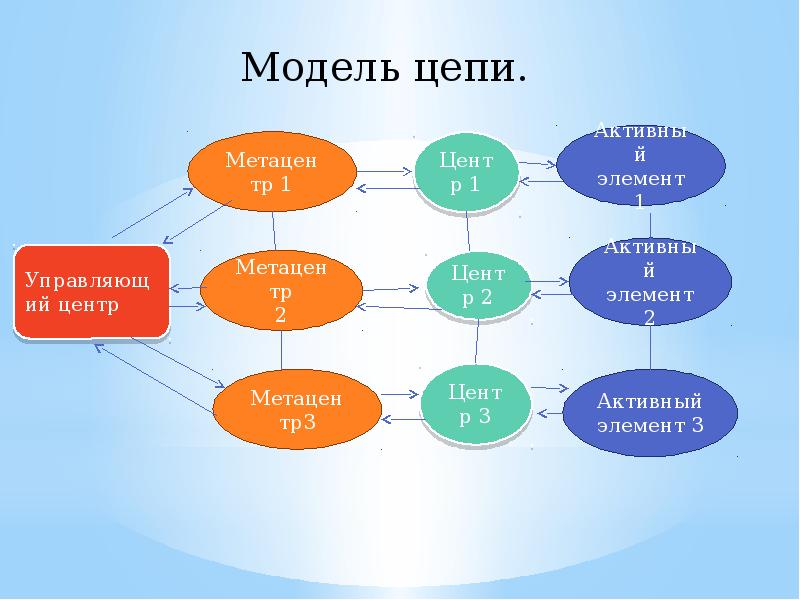 Цепи и сети