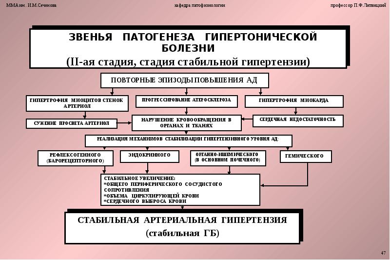 Схема гипертоническая болезнь