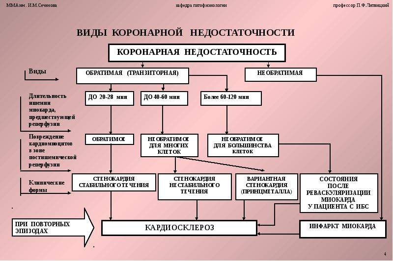 Коронарная недостаточность презентация