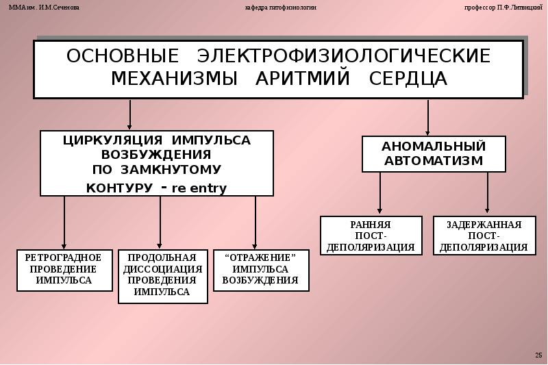 Блок схема классификация аритмий