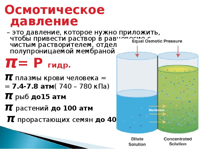 Атм осмотическое давление. Давление осмоса формула. Осмотич плазмы крови осмотическое давление. Неорганические вещества регулирующие осмотическое давление. Осмотическоетдавлерие.