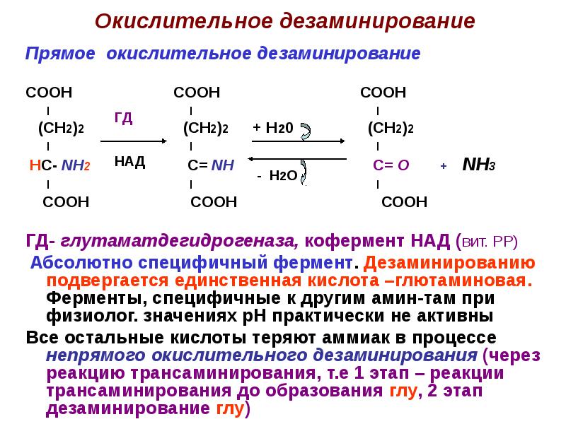 Реакция окислительного дезаминирования. Прямое окислительное дезаминирование аминокислот. Реакцию окислительного дезаминирования глутамата. Прямое окислительное дезаминирование аминокислот схема. Реакция дезаминирования глу.