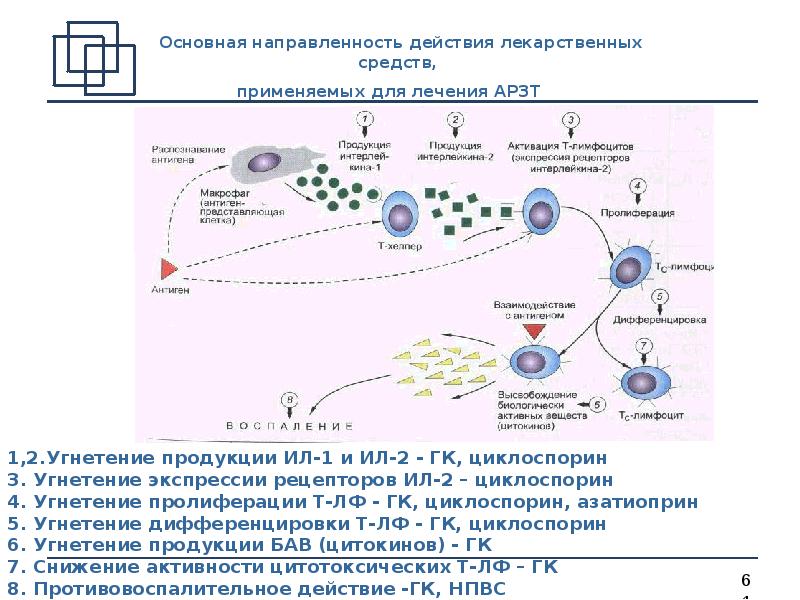 Противоаллергические препараты фармакология презентация