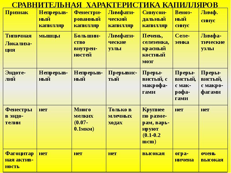 Сосуды таблица. Сравнительная характеристика артерий и вен таблица. Сравнительная характеристика артерий вен и капилляров. Характеристика вен и артерий таблица. Таблица по сосудам.