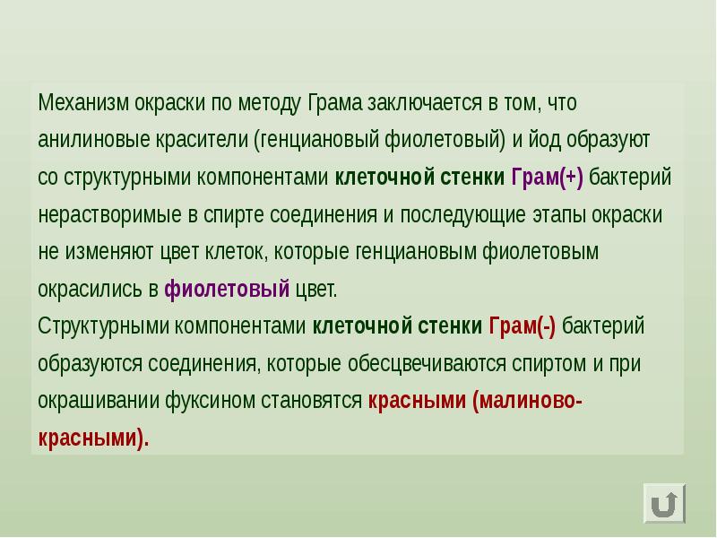 Какова окраска. Механизм окраски по Граму. Механизм и теория окраски по Граму.. Окраска препарата по методу грама. Механизмы и этапы окраски по Граму.