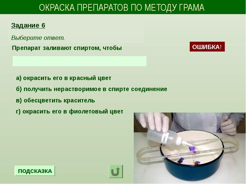 Микробиологическая технология презентация