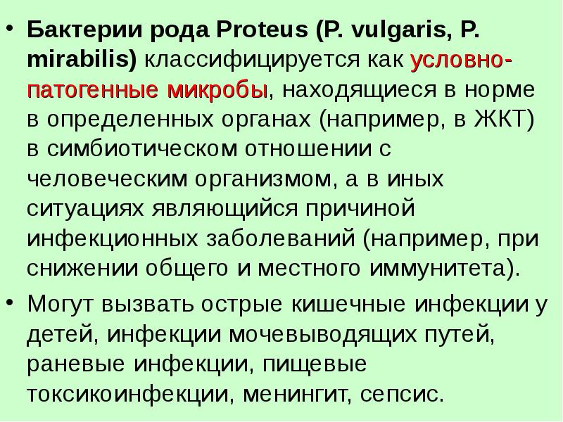 Роды бактерий. Бактерии рода Proteus (Протей). Бактерии рода Протеус мирабилис. Условно патогенные бактерии Proteus Mirabilis.