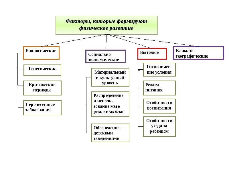 Социальные факторы география. Факторы которые формируют физическое развитие. Факторы влияющие на физическое развитие детей и подростков. Биологические факторы формирующие физическое развитие. Факторы, формирующие физическое развитие детей и подростков.