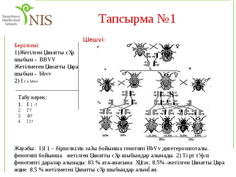 Тұқымқуалаушылық пен өзгергіштік заңдылықтары презентация