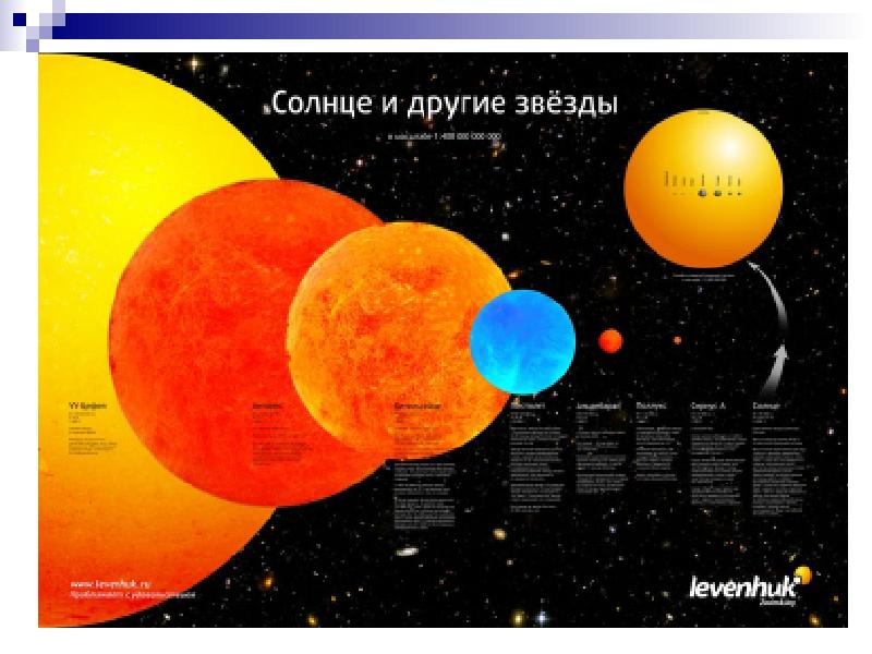 Вселенная целостный организм какая картина мира