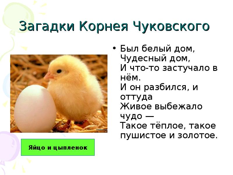 Отгадай загадку был белый дом чудесный дом. Отгадай загадку был белый дом чудесный дом