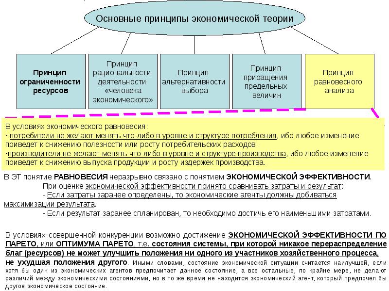 Принципы экономической системы. Принципы экономической теории. Основные принципы экономической эффективности. Принципы экономической науки. Основные идеи теории «экономического человека».