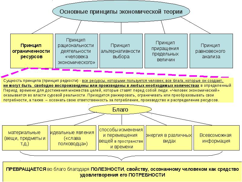 Экономическая теория схема