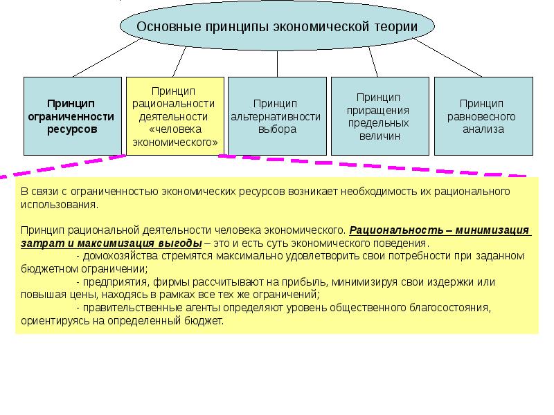 Основные принципы теории. Принципы экономической теории. Базовые принципы экономической теории. Основные экономические принципы. Принцип экономической рациональности.