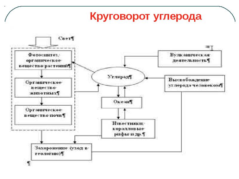 Схема круговорота углерода в природе схема