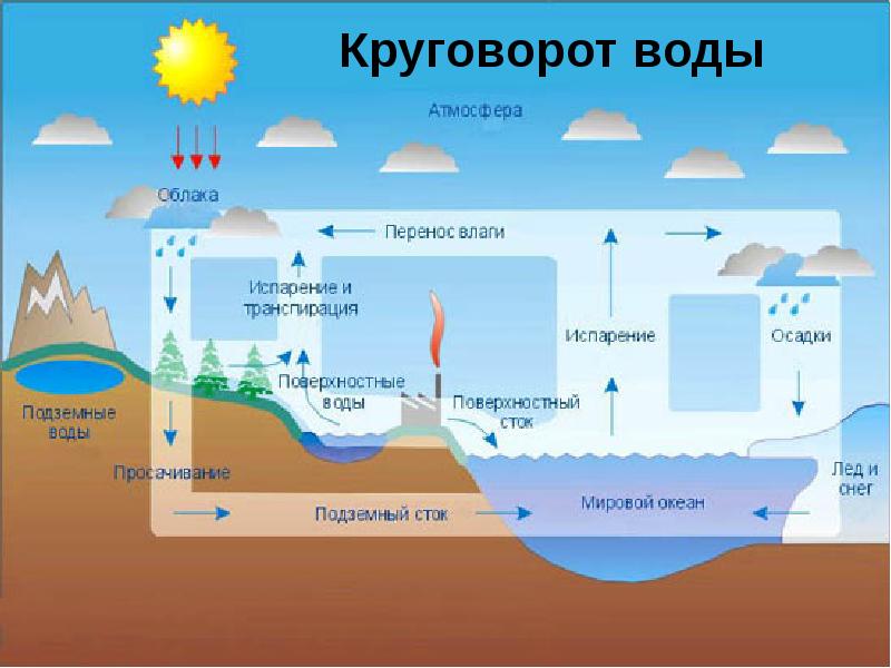 Круговорот веществ в природе рисунок 6 класс