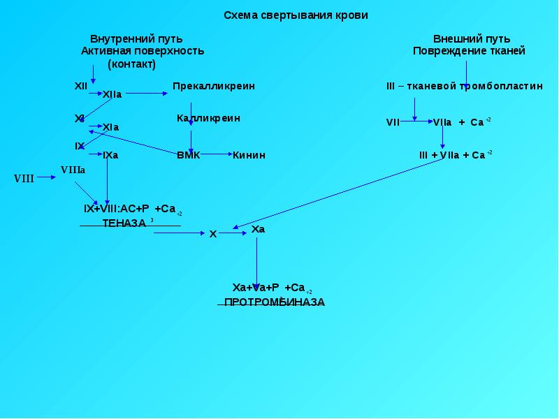 Схемы свертывания крови по внешнему и внутреннему пути