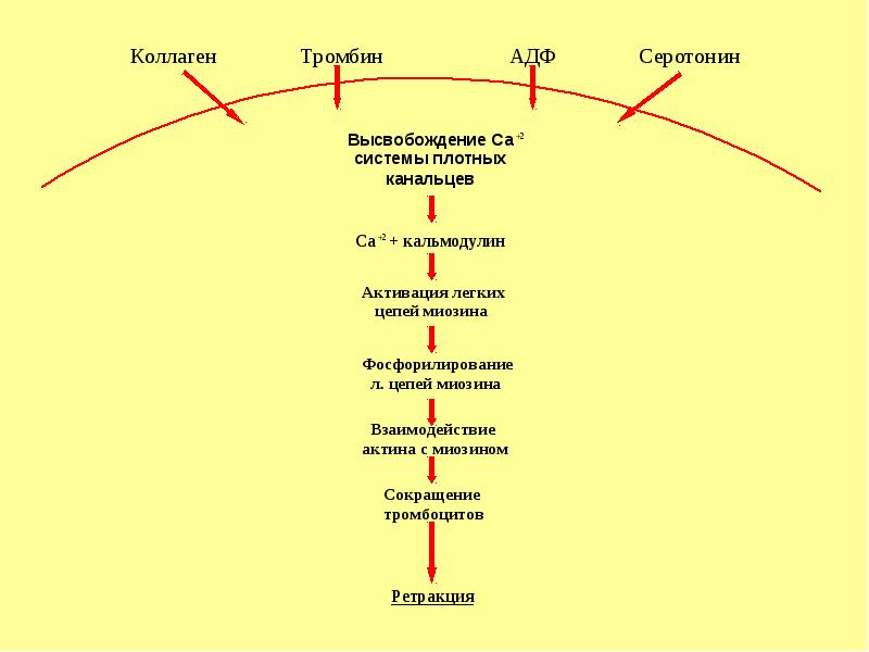 Схема противосвертывающей системы