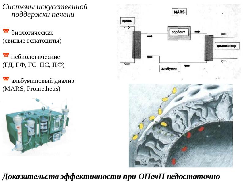 Презентация синдром острой токсической печеночной недостаточности thumbnail