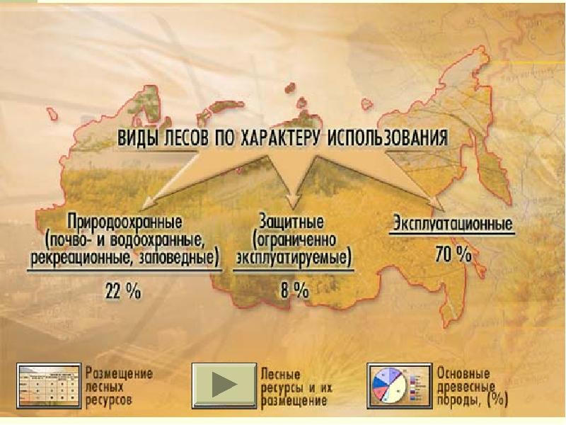 Лесная промышленность россии презентация