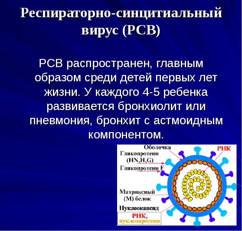 Рнк respiratory syncytial virus. Респираторно-синцитиальная инфекция. Респираторно-синцитиальная инфекция у детей развивается.