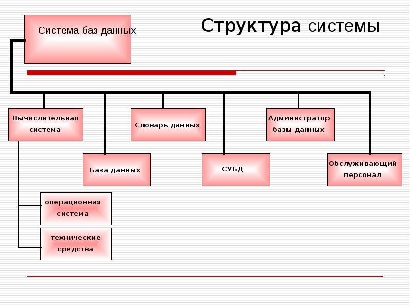 Database administrator презентация