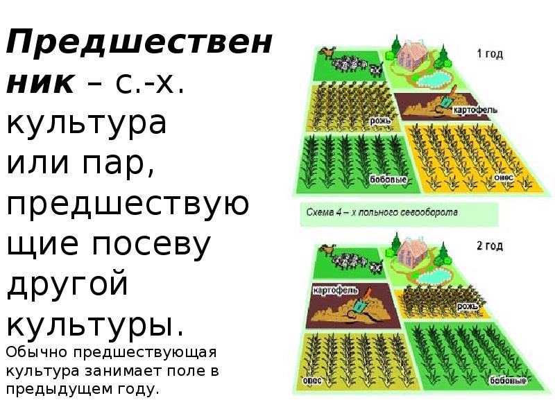 Классификация севооборотов презентация