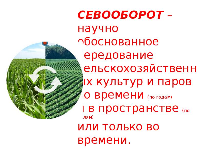 Схема севооборота это перечень всех с х культур которые выращиваются в севообороте