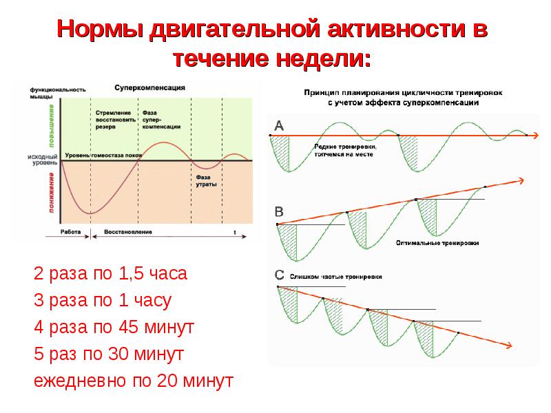 Проект в течение недели