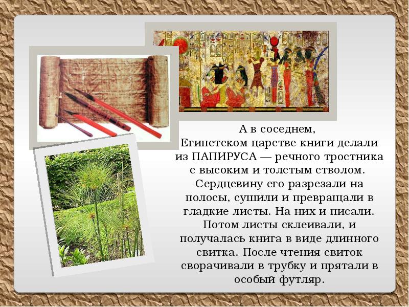 Как устроена книга презентация