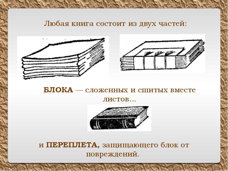 Книга состоит из страниц а презентация из