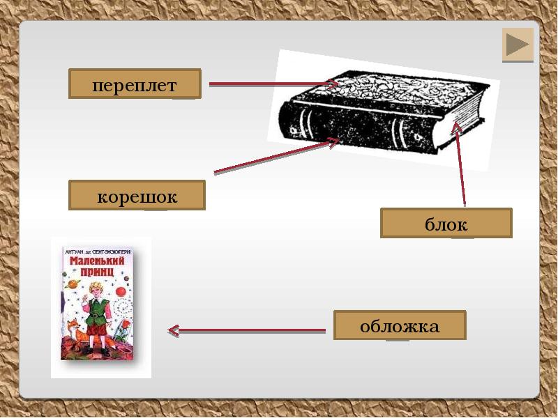 Как устроена книга презентация