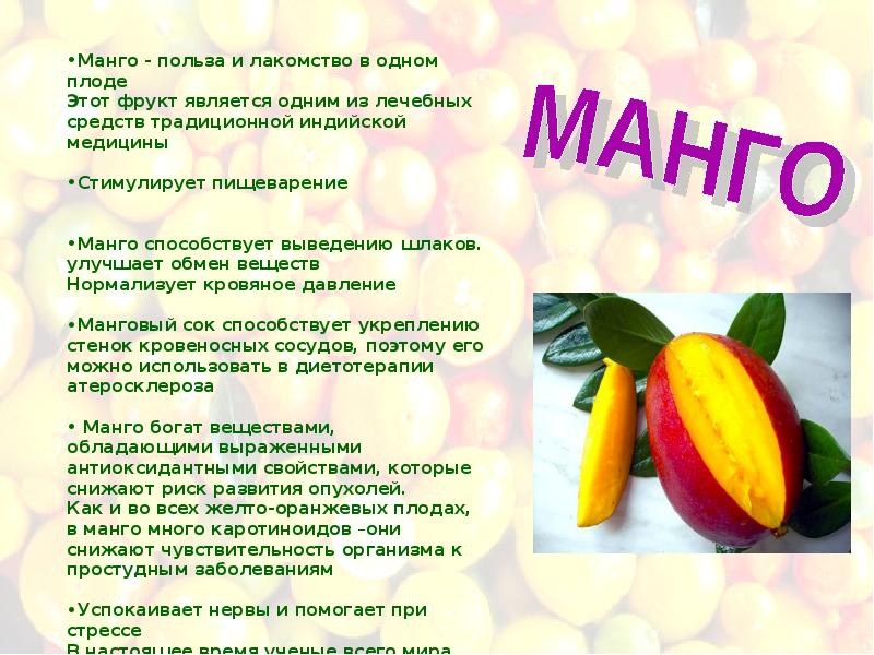 Манго фрукт полезные свойства и противопоказания. Полезные вещества в манго. Плод растения манго характеристика. Чем полезен манго для организма. Чем полезно манго.