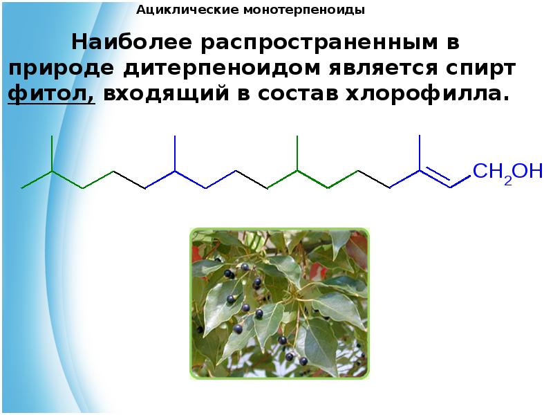Презентация на тему терпеноиды