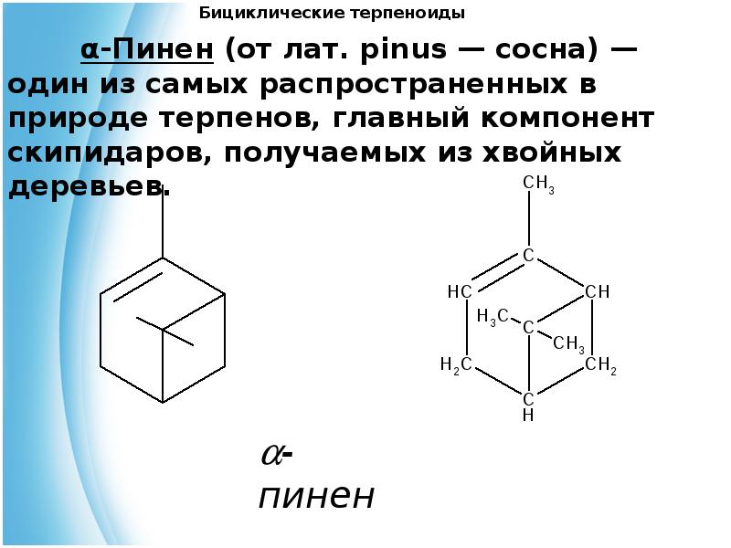 Презентация на тему терпеноиды