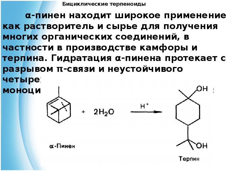 Презентация на тему терпеноиды