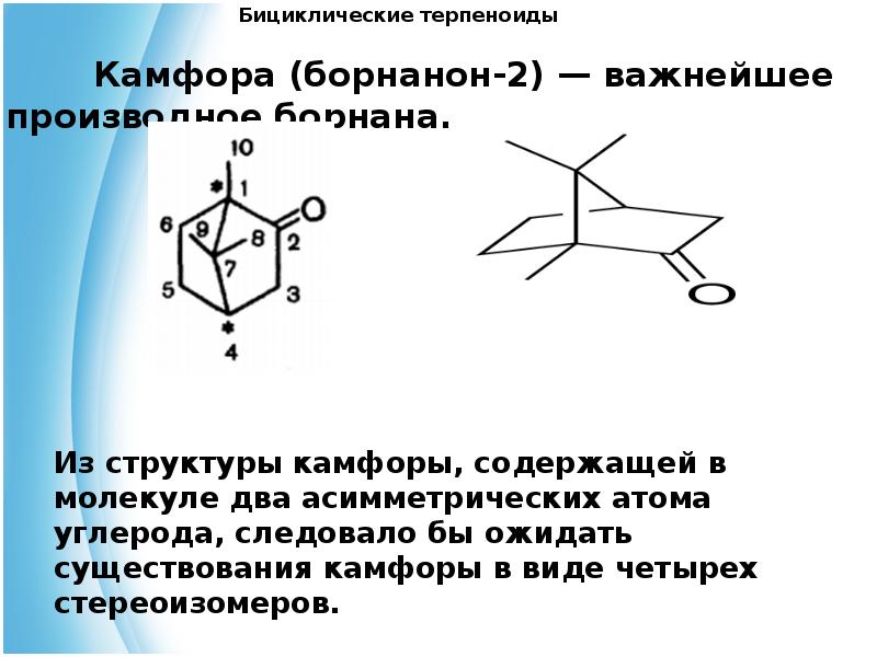 Презентация на тему терпены