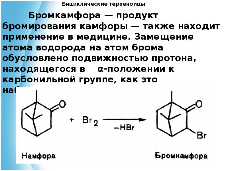 Презентация на тему терпеноиды