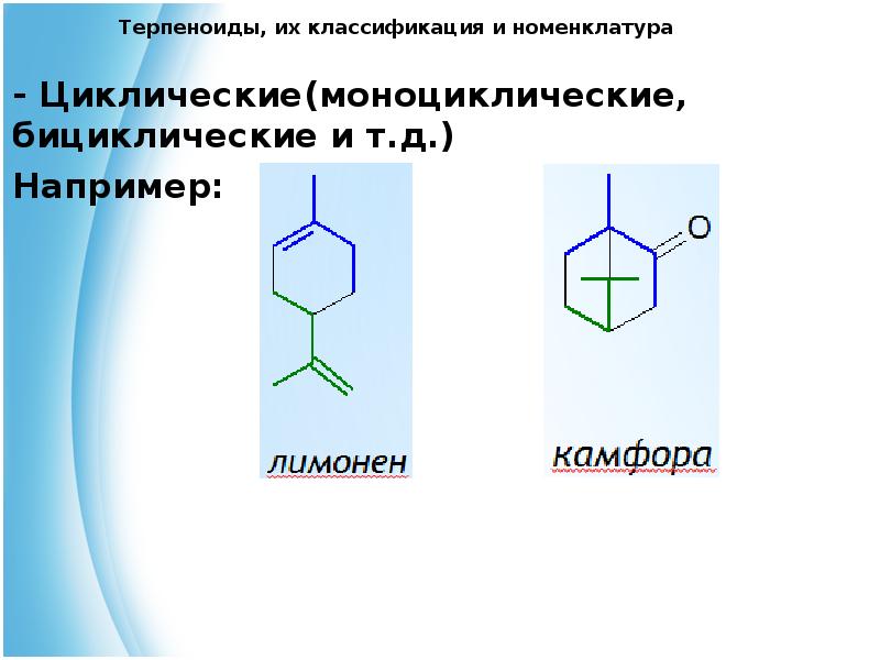 Презентация на тему терпены