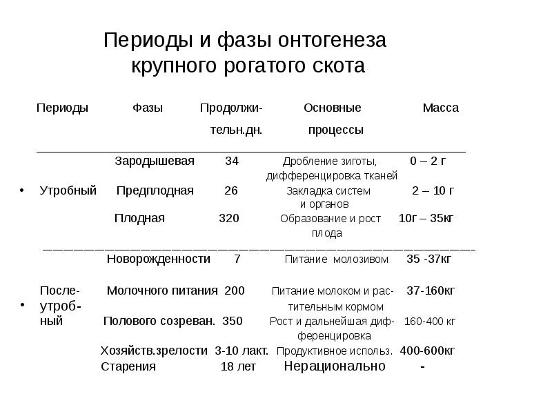 Период фаза. Продолжительность эмбрионального периода КРС. Онтогенез крупного рогатого скота. Фазы эмбрионального периода КРС. Сроки эмбрионального развития КРС.