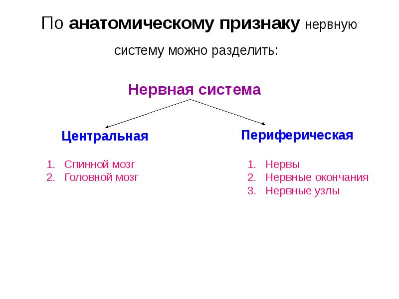 Симптомы нервной системы