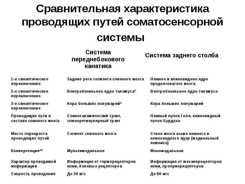 Проведена характеристика. Соматосенсорные проводящие пути.