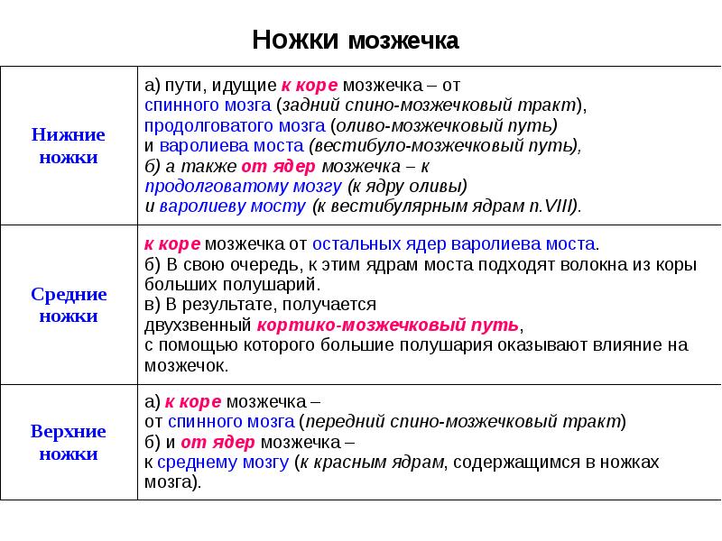 Ножки мозжечка Ножки мозжечка