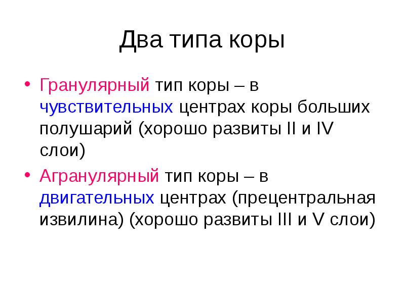 Два типа коры
Гранулярный тип коры – в чувствительных центрах коры Два типа коры
Гранулярный тип коры – в чувствительных центрах коры