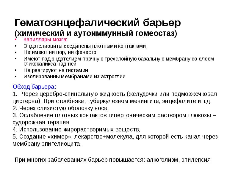 Гематоэнцефалический барьер (химический и аутоиммунный гомеостаз)
Капилляры мозга:
Эндотелиоциты Гематоэнцефалический барьер (химический и аутоиммунный гомеостаз)
Капилляры мозга:
Эндотелиоциты