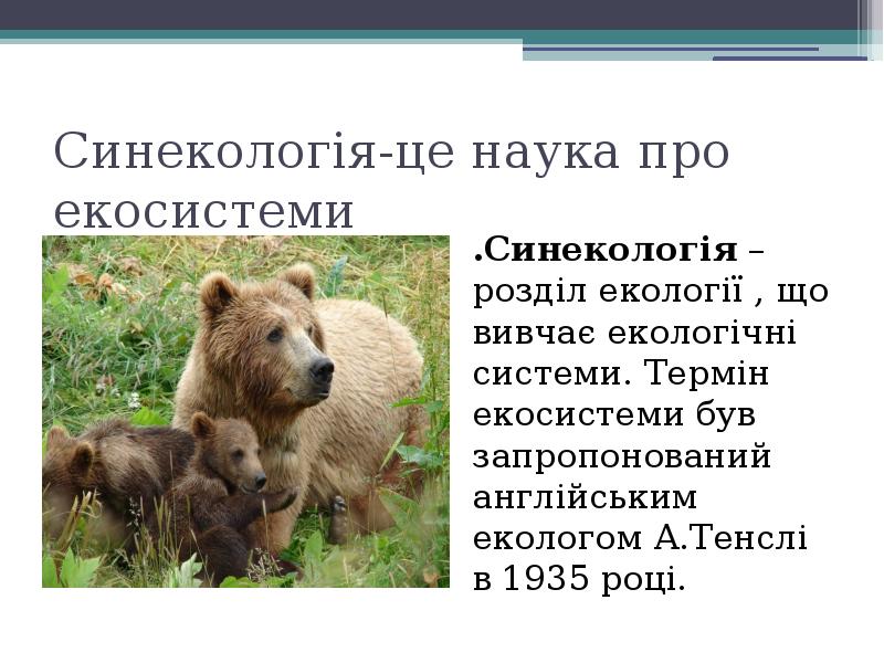 Поняття. Синекологія це. Синекологія галузь застосування. Синекологія читати онлайн. Какой уровень изучает синекологія.