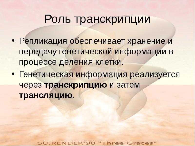 Обеспечивает хранение наследственной информации. Обеспечивает хранение наследственной информации
