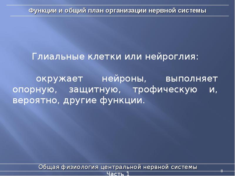 Функции и общий план организации нервной системы