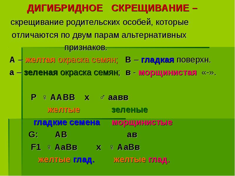 ДИГИБРИДНОЕ СКРЕЩИВАНИЕ –
ДИГИБРИДНОЕ ДИГИБРИДНОЕ СКРЕЩИВАНИЕ –
ДИГИБРИДНОЕ